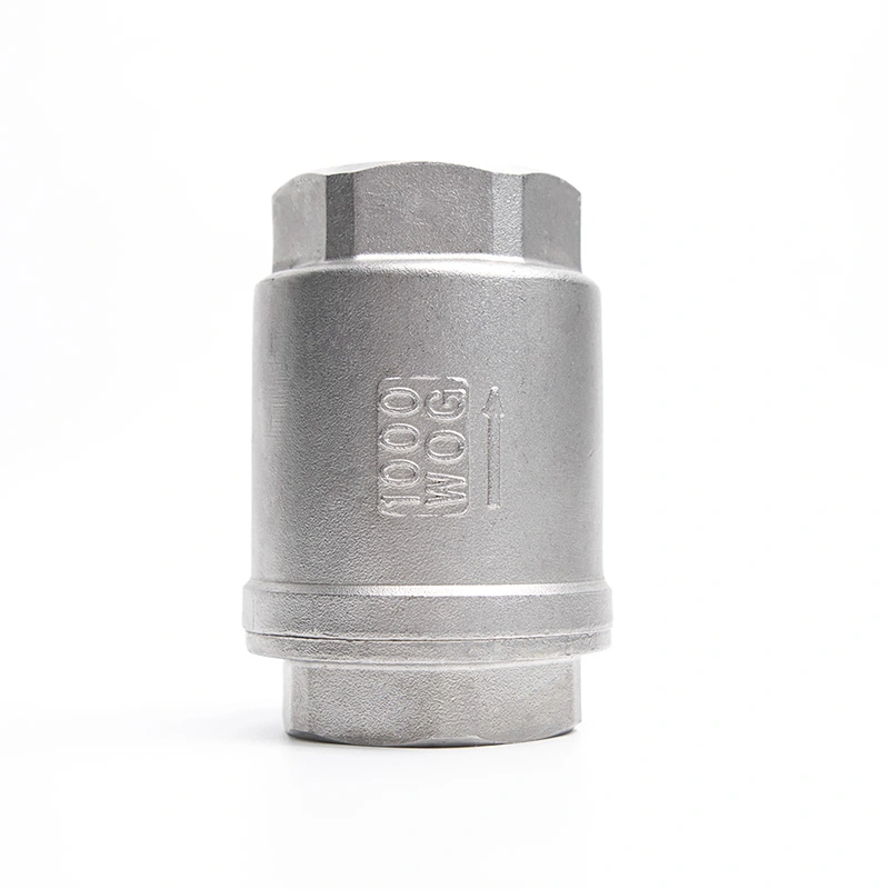Stainless Steel Spring Vertical Check Valve